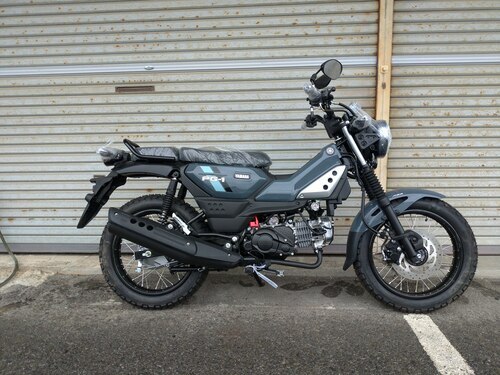 ヤマハ PG-1